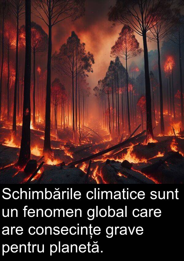 fenomen: Schimbările climatice sunt un fenomen global care are consecințe grave pentru planetă.