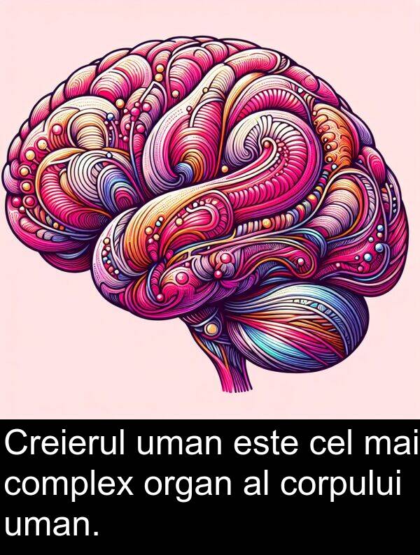 corpului: Creierul uman este cel mai complex organ al corpului uman.