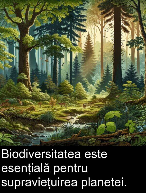 esențială: Biodiversitatea este esențială pentru supraviețuirea planetei.
