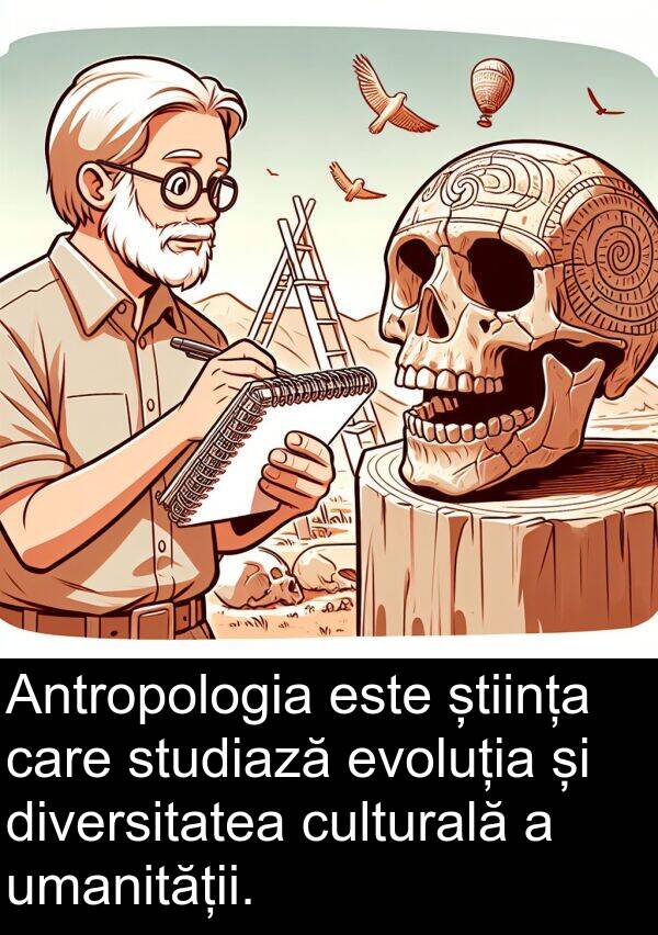 umanității: Antropologia este știința care studiază evoluția și diversitatea culturală a umanității.