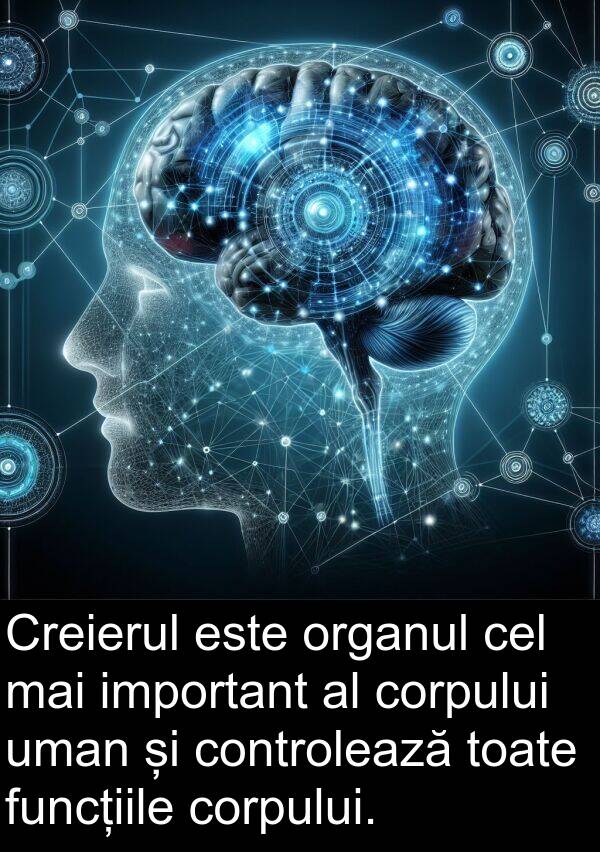 corpului: Creierul este organul cel mai important al corpului uman și controlează toate funcțiile corpului.