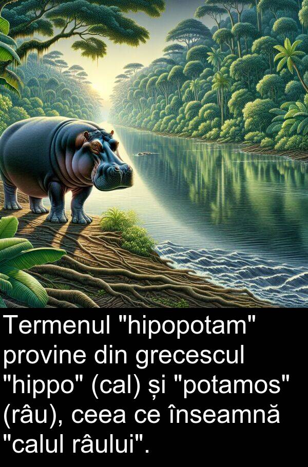 înseamnă: Termenul "hipopotam" provine din grecescul "hippo" (cal) și "potamos" (râu), ceea ce înseamnă "calul râului".