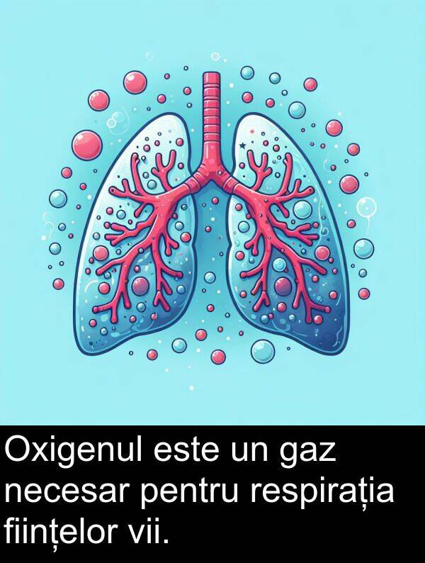 gaz: Oxigenul este un gaz necesar pentru respirația ființelor vii.