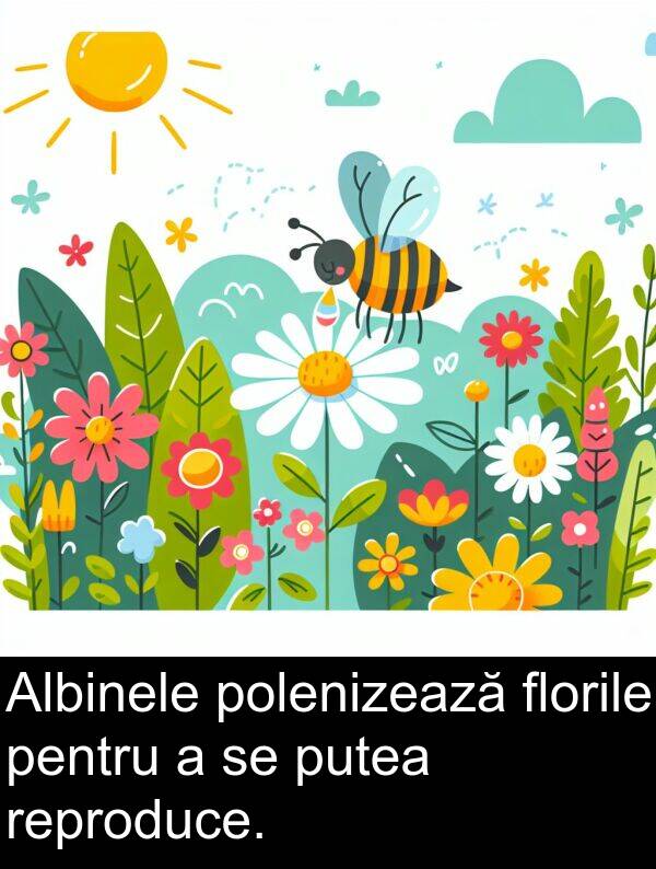 polenizează: Albinele polenizează florile pentru a se putea reproduce.