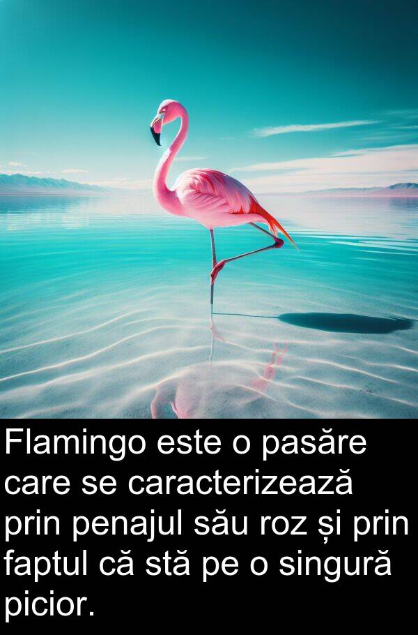 faptul: Flamingo este o pasăre care se caracterizează prin penajul său roz și prin faptul că stă pe o singură picior.
