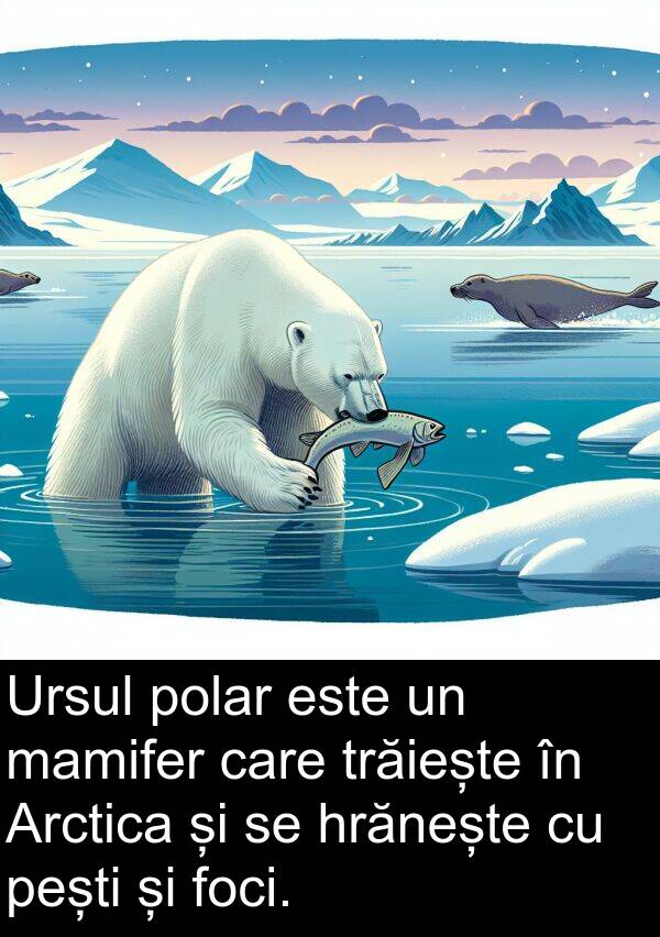 mamifer: Ursul polar este un mamifer care trăiește în Arctica și se hrănește cu pești și foci.