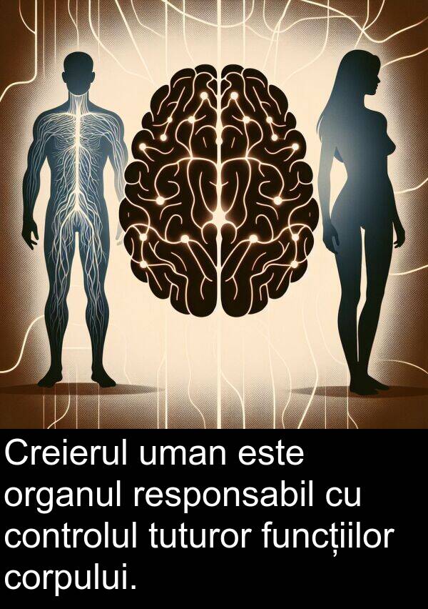 corpului: Creierul uman este organul responsabil cu controlul tuturor funcțiilor corpului.