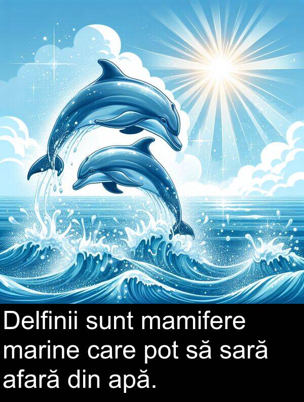 mamifere: Delfinii sunt mamifere marine care pot să sară afară din apă.