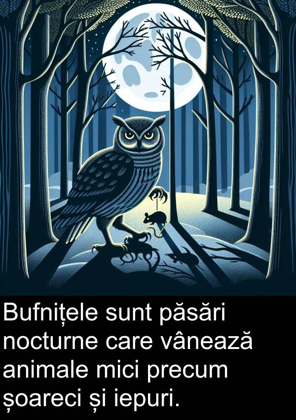 vânează: Bufnițele sunt păsări nocturne care vânează animale mici precum șoareci și iepuri.