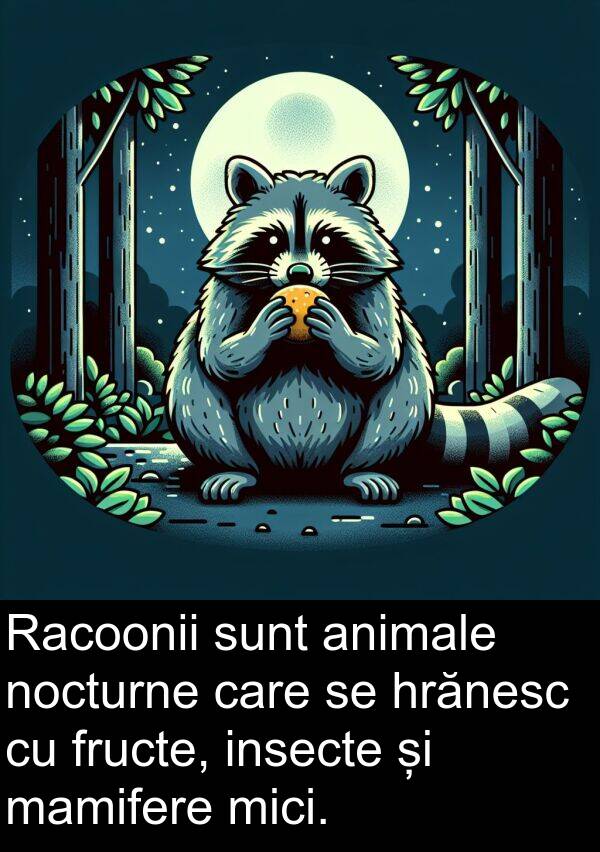 mamifere: Racoonii sunt animale nocturne care se hrănesc cu fructe, insecte și mamifere mici.