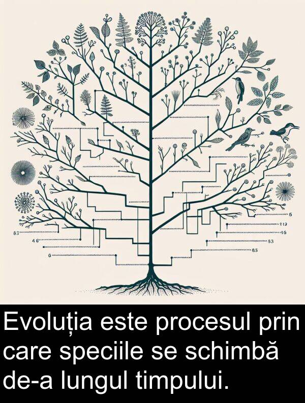 timpului: Evoluția este procesul prin care speciile se schimbă de-a lungul timpului.