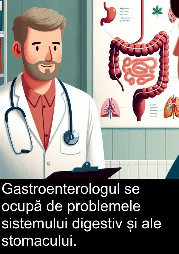 stomacului: Gastroenterologul se ocupă de problemele sistemului digestiv și ale stomacului.