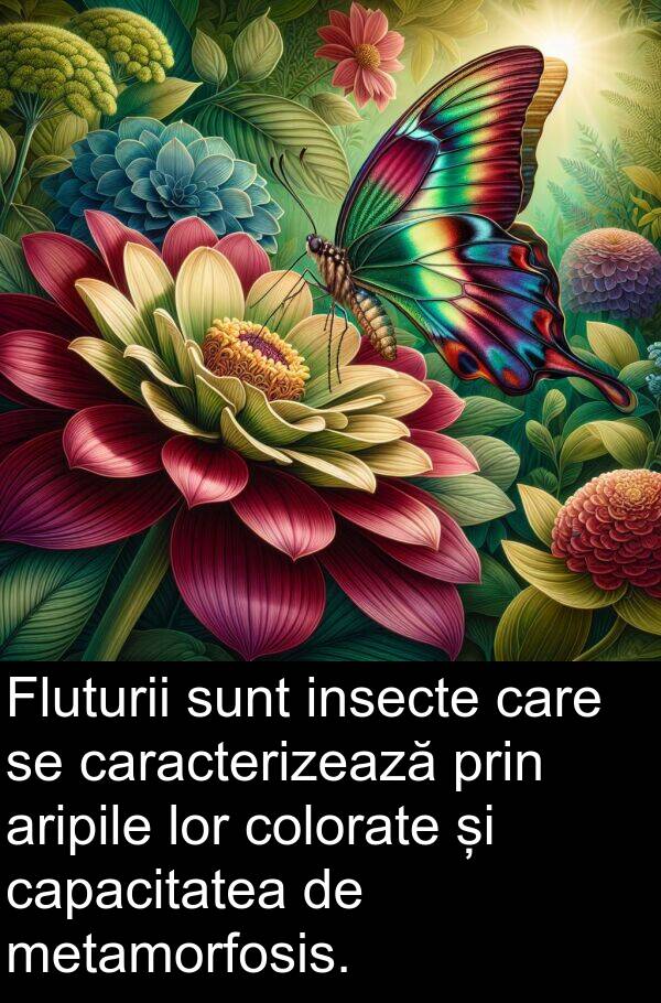 colorate: Fluturii sunt insecte care se caracterizează prin aripile lor colorate și capacitatea de metamorfosis.