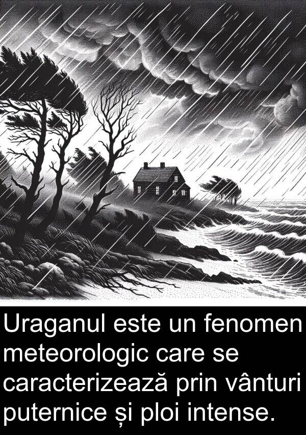 vânturi: Uraganul este un fenomen meteorologic care se caracterizează prin vânturi puternice și ploi intense.