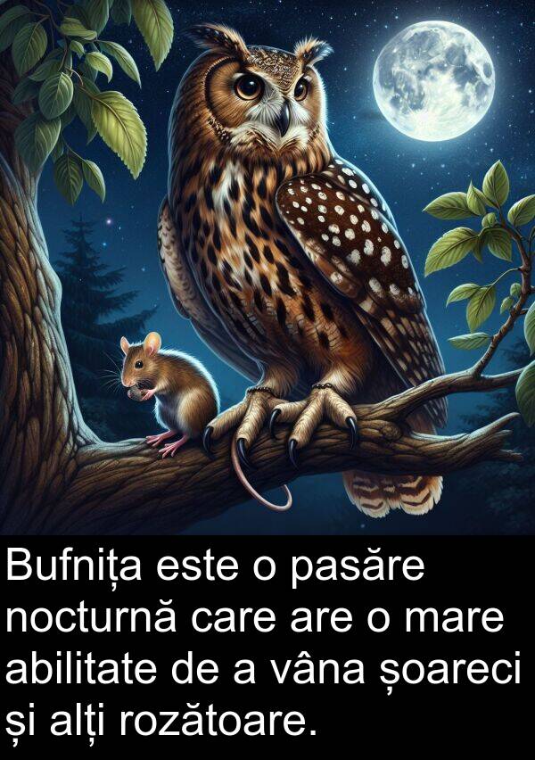 vâna: Bufnița este o pasăre nocturnă care are o mare abilitate de a vâna șoareci și alți rozătoare.