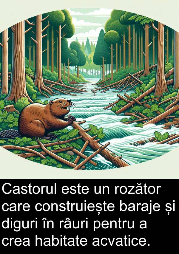 habitate: Castorul este un rozător care construiește baraje și diguri în râuri pentru a crea habitate acvatice.