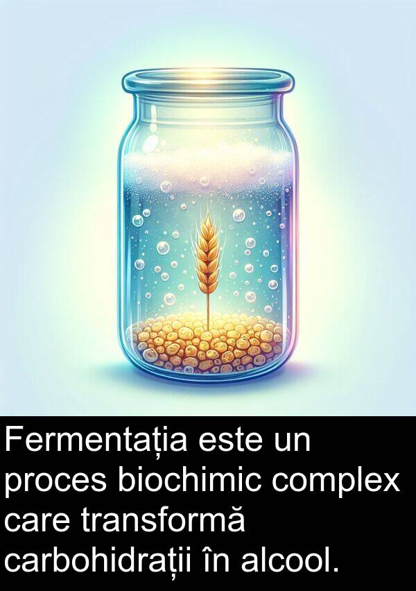 carbohidrații: Fermentația este un proces biochimic complex care transformă carbohidrații în alcool.
