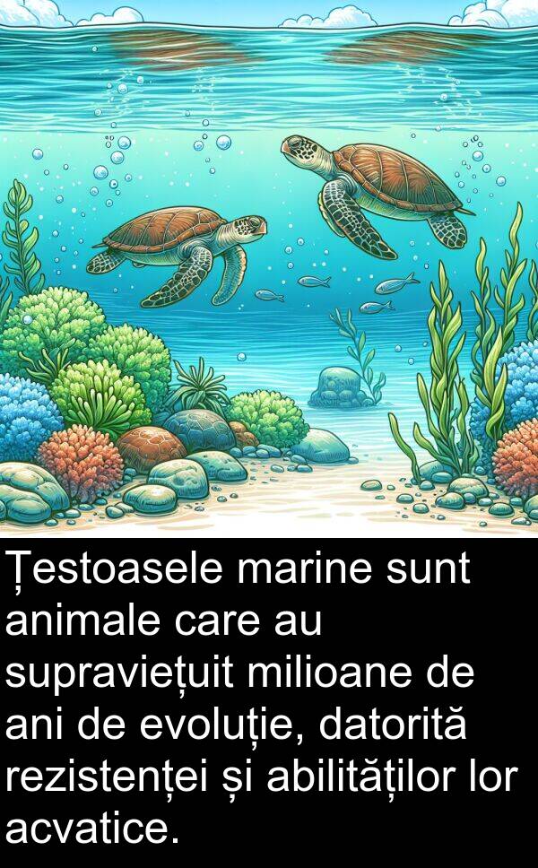 abilităților: Țestoasele marine sunt animale care au supraviețuit milioane de ani de evoluție, datorită rezistenței și abilităților lor acvatice.