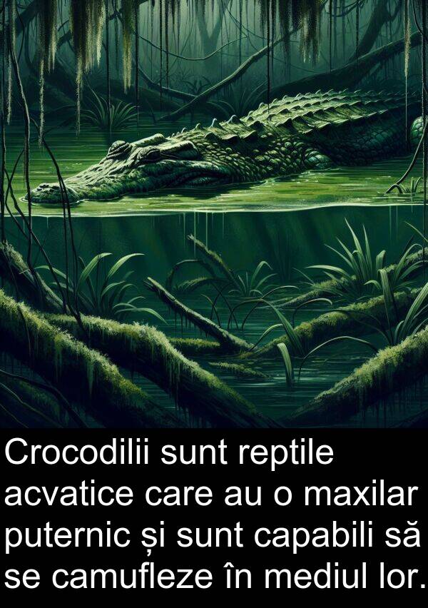 mediul: Crocodilii sunt reptile acvatice care au o maxilar puternic și sunt capabili să se camufleze în mediul lor.