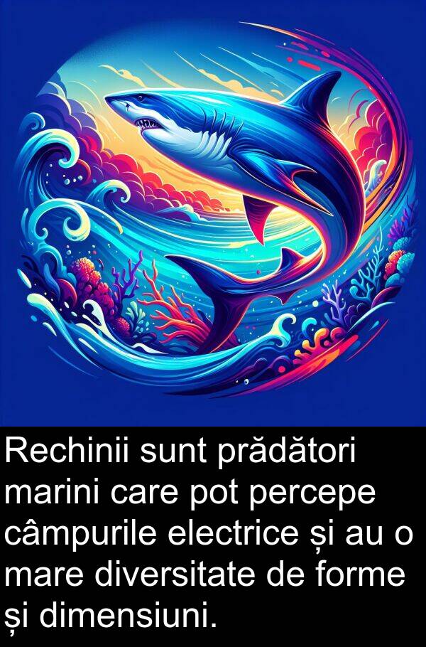electrice: Rechinii sunt prădători marini care pot percepe câmpurile electrice și au o mare diversitate de forme și dimensiuni.