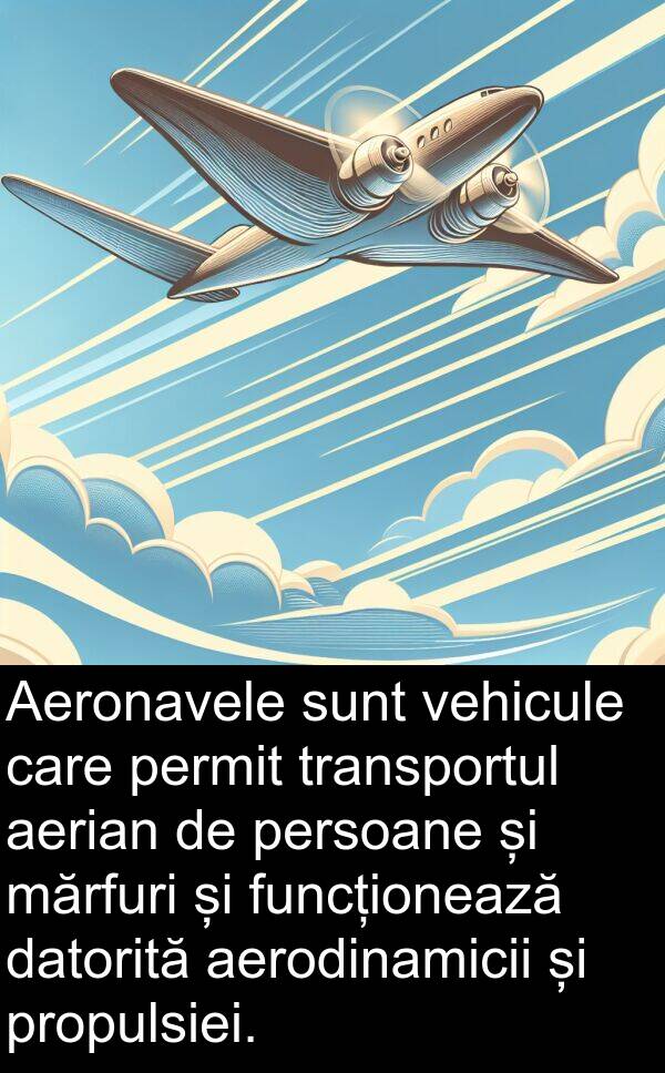 datorită: Aeronavele sunt vehicule care permit transportul aerian de persoane și mărfuri și funcționează datorită aerodinamicii și propulsiei.
