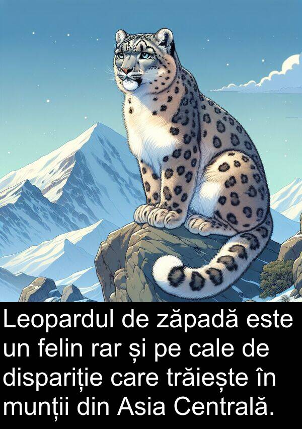 rar: Leopardul de zăpadă este un felin rar și pe cale de dispariție care trăiește în munții din Asia Centrală.