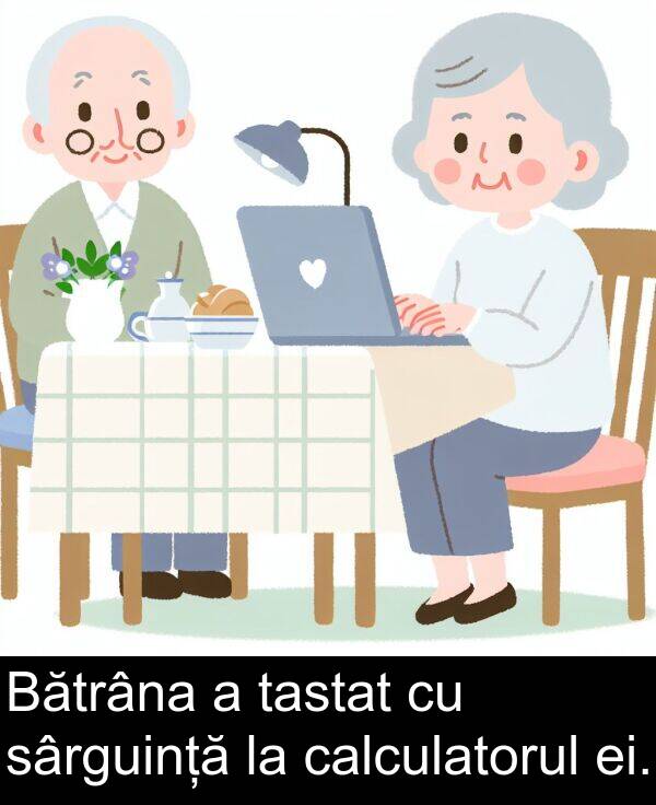 calculatorul: Bătrâna a tastat cu sârguință la calculatorul ei.