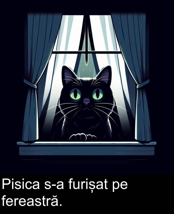 furișat: Pisica s-a furișat pe fereastră.