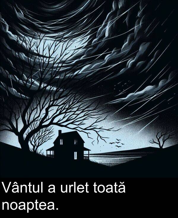 toată: Vântul a urlet toată noaptea.