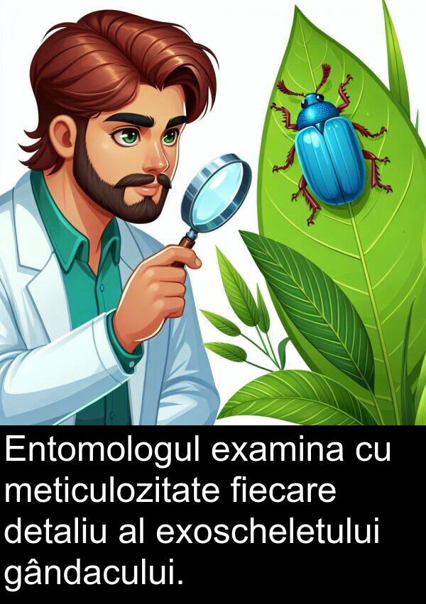 gândacului: Entomologul examina cu meticulozitate fiecare detaliu al exoscheletului gândacului.