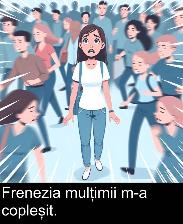 mulțimii: Frenezia mulțimii m-a copleșit.