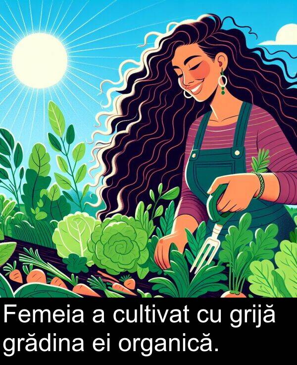 cultivat: Femeia a cultivat cu grijă grădina ei organică.
