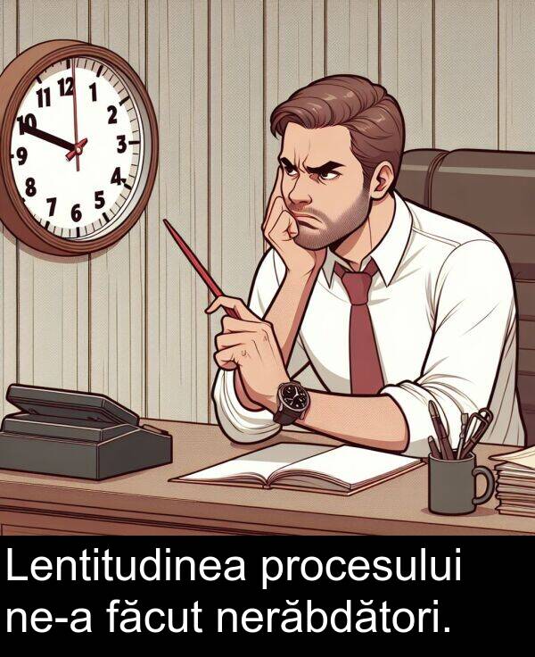 făcut: Lentitudinea procesului ne-a făcut nerăbdători.