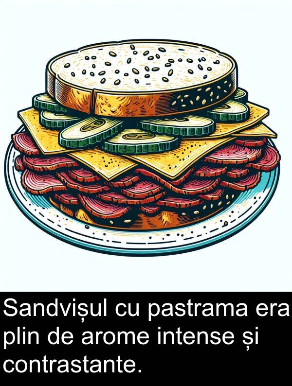 plin: Sandvișul cu pastrama era plin de arome intense și contrastante.