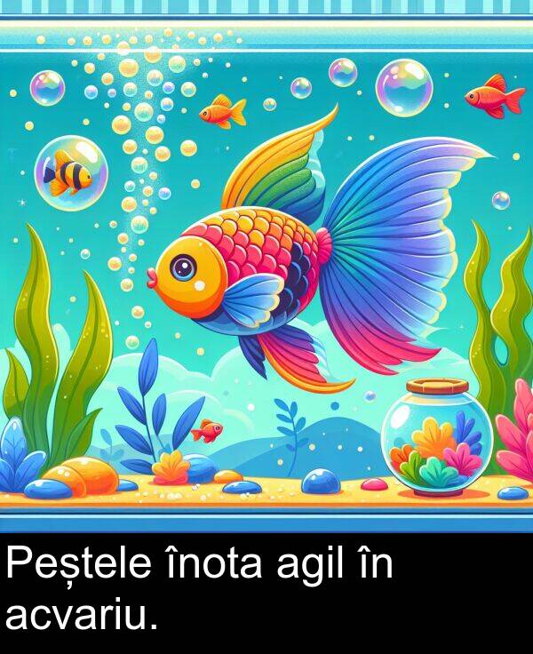 înota: Peștele înota agil în acvariu.