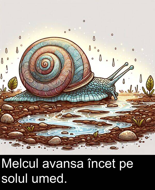 umed: Melcul avansa încet pe solul umed.