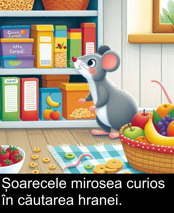 căutarea: Șoarecele mirosea curios în căutarea hranei.