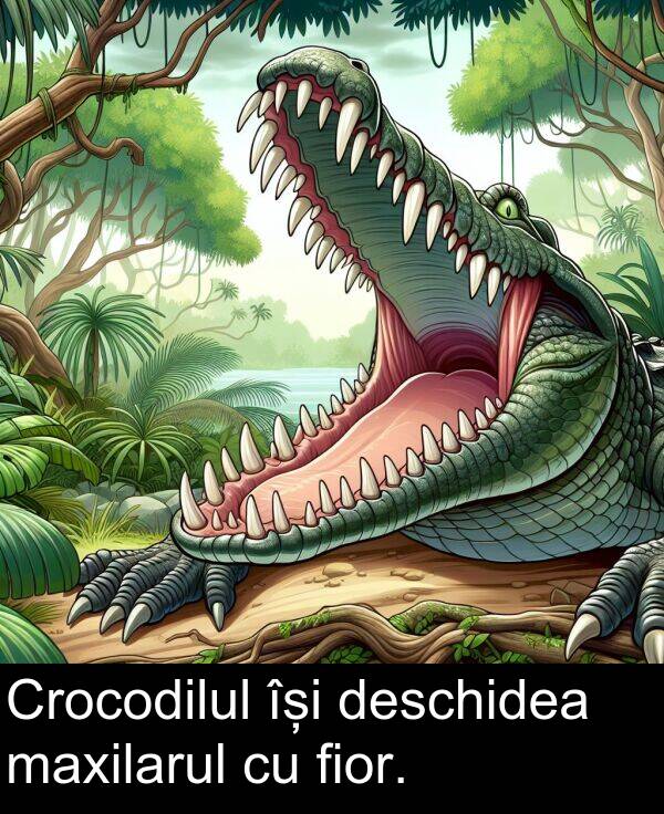 maxilarul: Crocodilul își deschidea maxilarul cu fior.