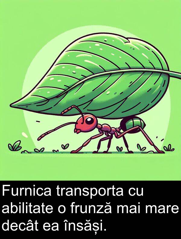 abilitate: Furnica transporta cu abilitate o frunză mai mare decât ea însăși.