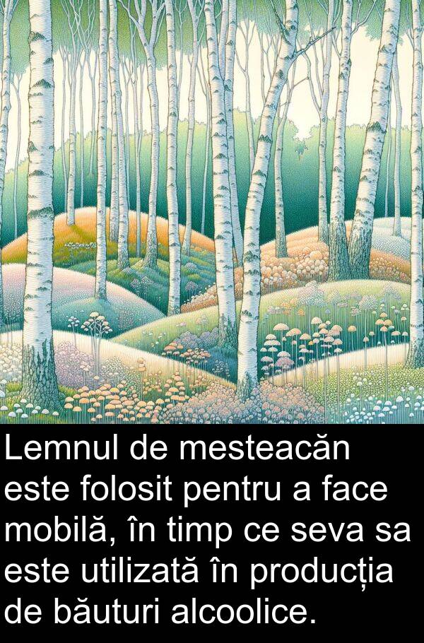 alcoolice: Lemnul de mesteacăn este folosit pentru a face mobilă, în timp ce seva sa este utilizată în producția de băuturi alcoolice.