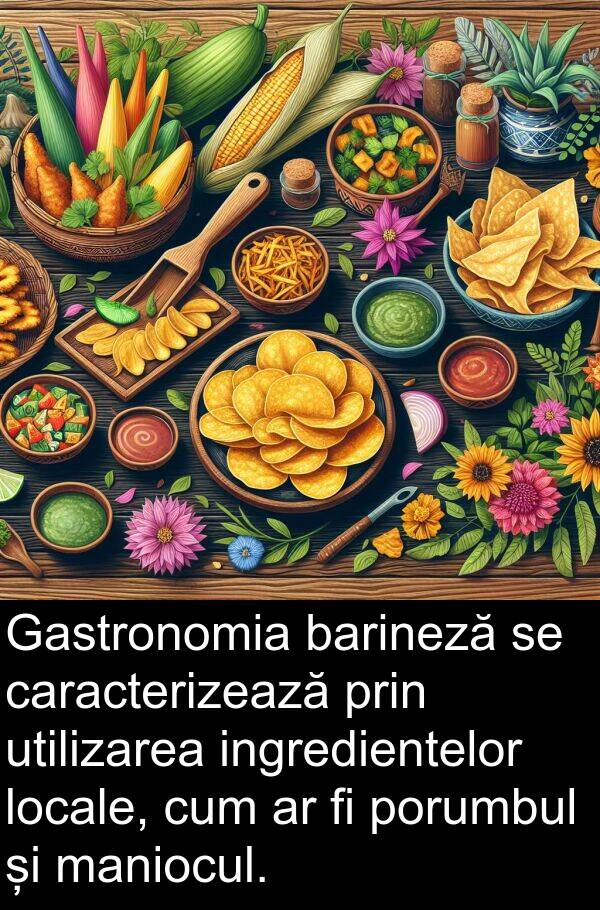 maniocul: Gastronomia barineză se caracterizează prin utilizarea ingredientelor locale, cum ar fi porumbul și maniocul.