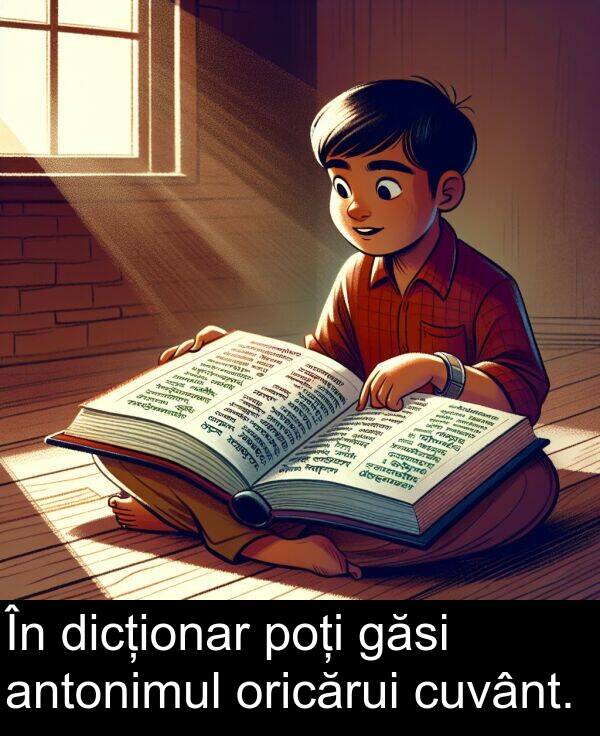 găsi: În dicționar poți găsi antonimul oricărui cuvânt.