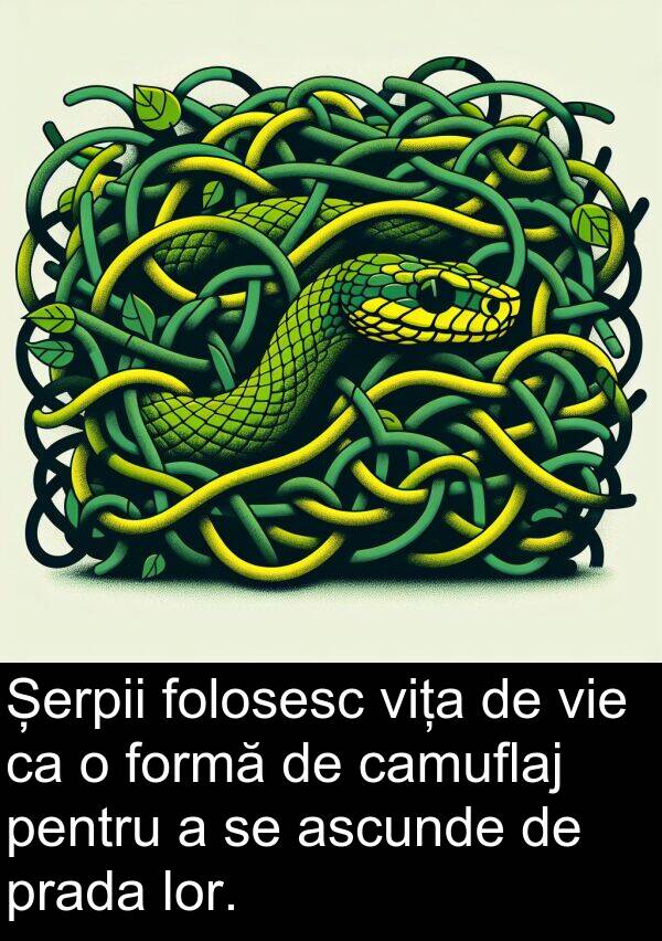 vie: Șerpii folosesc vița de vie ca o formă de camuflaj pentru a se ascunde de prada lor.