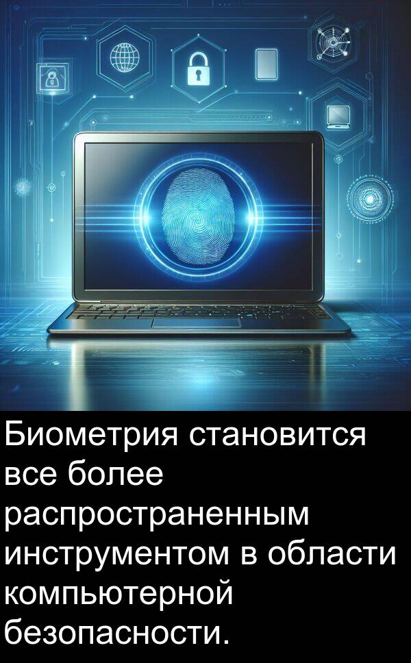 компьютерной: Биометрия становится все более распространенным инструментом в области компьютерной безопасности.