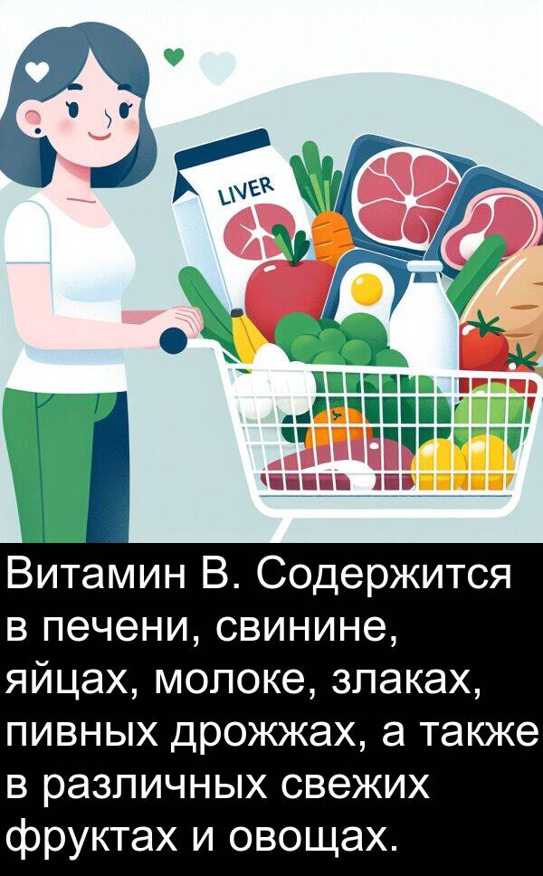 свежих: Витамин B. Содержится в печени, свинине, яйцах, молоке, злаках, пивных дрожжах, а также в различных свежих фруктах и овощах.