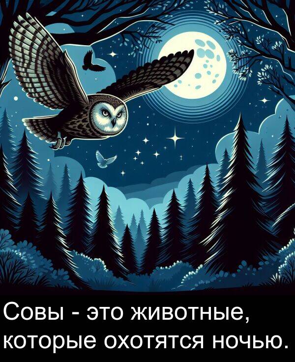 которые: Совы - это животные, которые охотятся ночью.