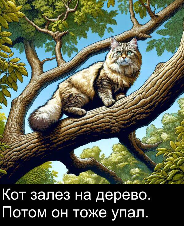 упал: Кот залез на дерево. Потом он тоже упал.