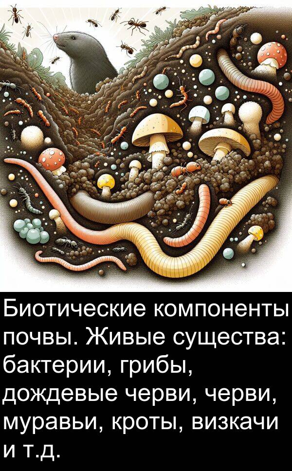 почвы: Биотические компоненты почвы. Живые существа: бактерии, грибы, дождевые черви, черви, муравьи, кроты, визкачи и т.д.