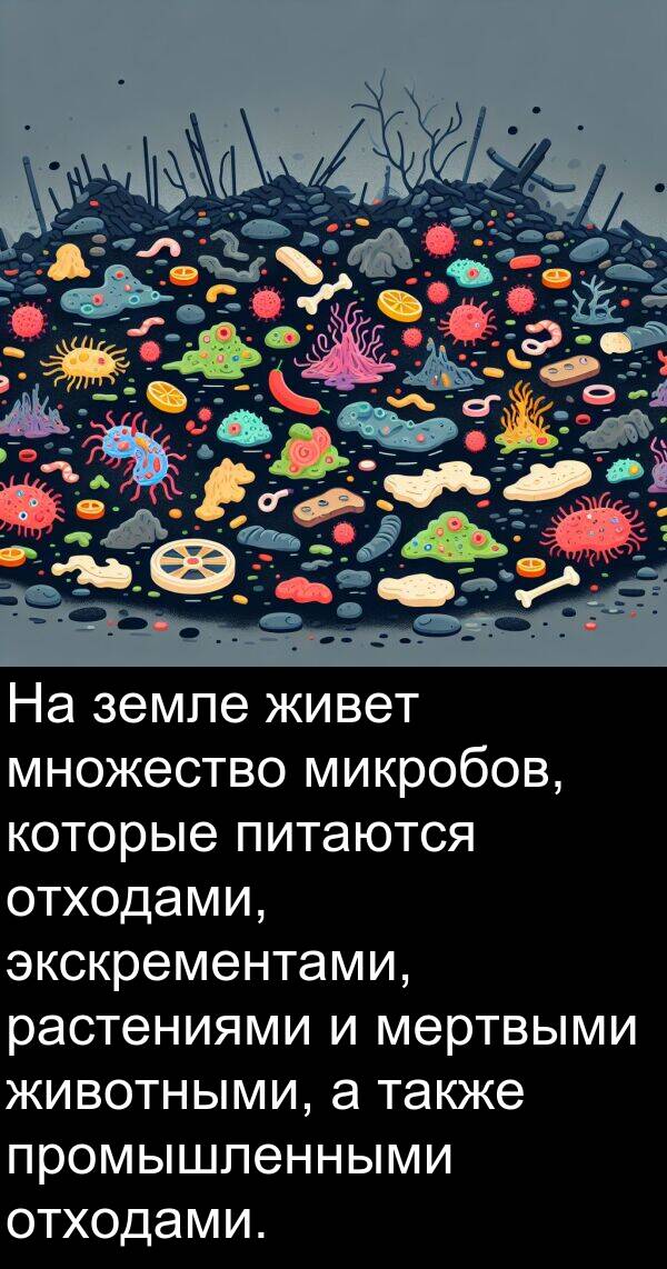 промышленными: На земле живет множество микробов, которые питаются отходами, экскрементами, растениями и мертвыми животными, а также промышленными отходами.