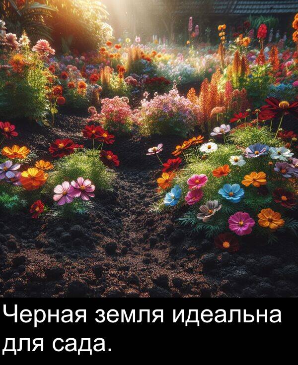 для: Черная земля идеальна для сада.